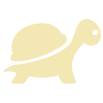 A turtle is shown in this image.